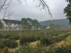 -旺福楼(钱家坞总店)