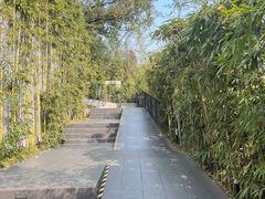 -先机泉水鸡汤(南山老君洞店)