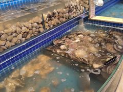 水产区-乔哥铭洋海鲜自助(皇城恒隆广场店)