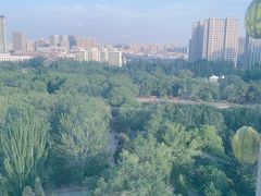 -青城公园