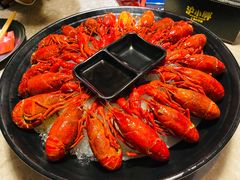 冰镇小龙虾-沪小胖小龙虾(淮海中路旗舰店)