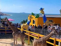 -西霞口神雕山野生动物世界