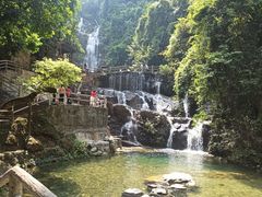 -鼎湖山风景区