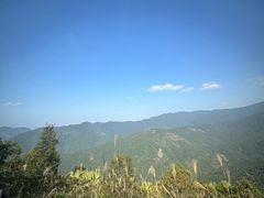 -海南霸王岭国家森林公园