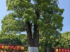 -韩湘水博园
