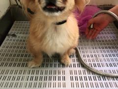 -宠颐生动物医院·小陆分院