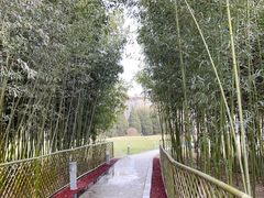 -春晖园度假酒店温泉