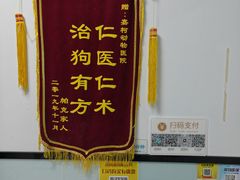 -嘉馨宠物医院·CT影像转诊·心脏科·犬猫全科诊疗中心(下沙大学城院区)