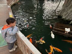 -南宫五洲植物乐园