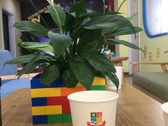 -想家粒科学探索中心(青林湾店)