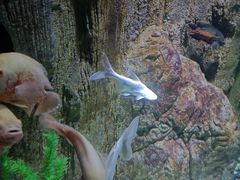 -多彩贵州城极地海洋世界