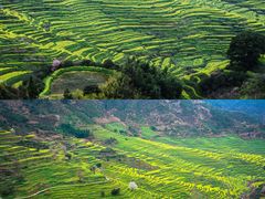 -婺源风景区