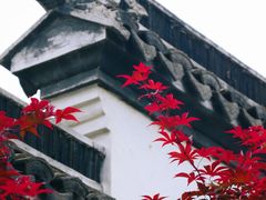 -檀园