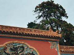 -北陵公园
