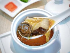 -诺莱仕游艇会