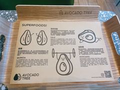 -油梨树AVOCADO TREE(望京店)