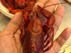 -指爱龙虾(金杨路总店)