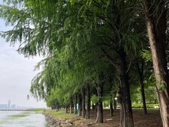 -苏州湾体育公园