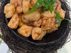 -丁老爷子苏香圆