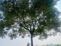 -良渚古城遗址公园