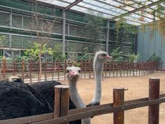 -呀路古热带植物园