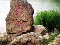 -紫霞湖公园