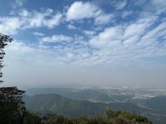 -黄埔油麻山森林公园
