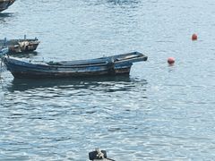 -海源公园