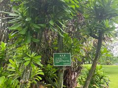 -中国科学院西双版纳热带植物园