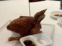 -侨美·唐荔园·40年地道粤菜