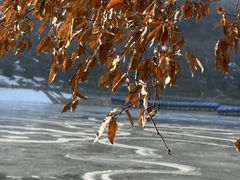 -秦岭终南山世界地质公园翠华山景区