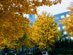 -北京理工大学(中关村校区)