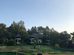 -四季酒店下午茶