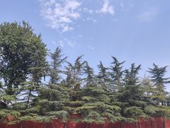 -洛阳白马寺
