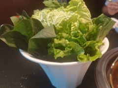 -葛记红焖羊肉(和平路形象店)