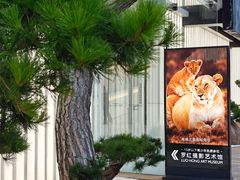 -罗红摄影艺术馆