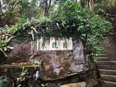 -深圳仙湖植物园