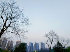 -龙头寺公园