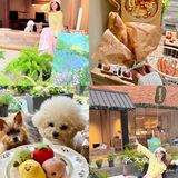 谁又幸福了！郑州居民区邂逅春日小甜店🥰