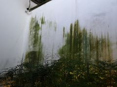 -文儒九号·闽菜馆(三坊七巷店)