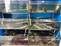 -滇香肴·云南菜蒸汽石锅鱼(云南北路店)