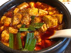 金牌麻辣豆腐-陈麻婆豆腐总店