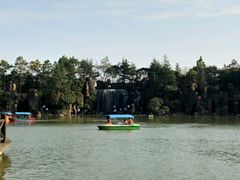 -上海鲜花港