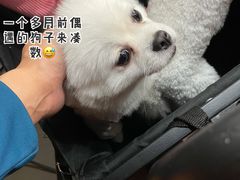 -裕兴记·三虾面(西北街总店)