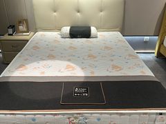 -KINGKOIL金可儿床垫(北五环红星美凯龙店)