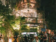 -Rainforest