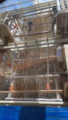 -PIPIKINGDOM皮皮王国欢乐号(欢乐海岸购物中心店)