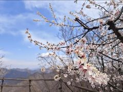-北京山里寒舍度假酒店