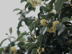-杭州少年儿童公园