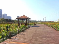 -那考河湿地公园
